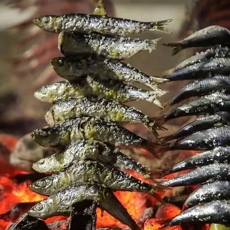 Апартаменти Precioso Estudio Muy Cercano A La Playa *